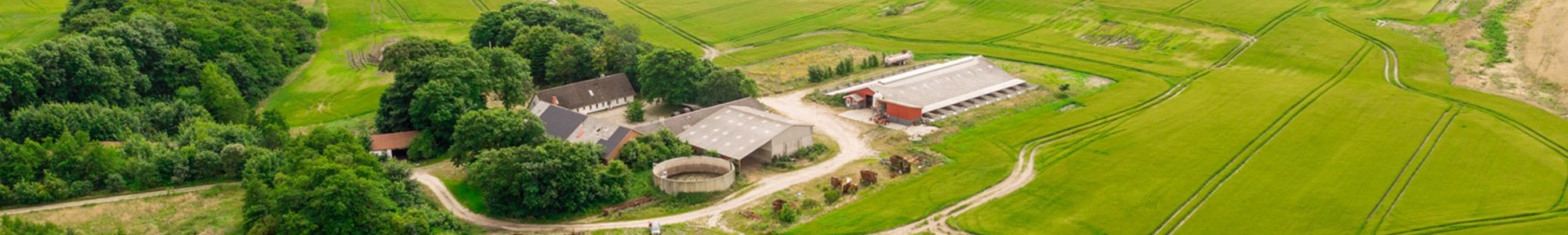 Ten forests will help Denmark’s largest retail group to become climate positive
